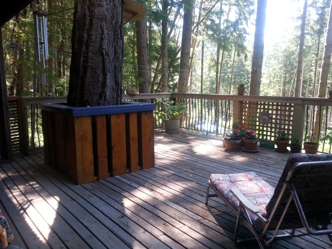 20140702_124217.jpg image